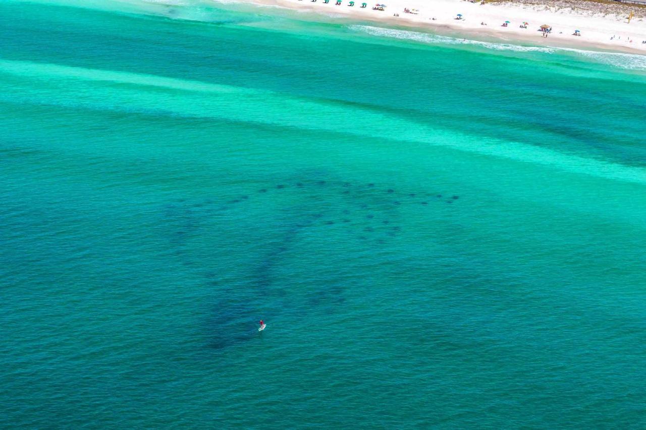 Caribbean Dunes 121 Destin Zewnętrze zdjęcie